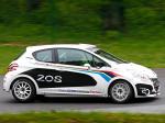 Peugeot 208 R2 Rally Car 2012 года